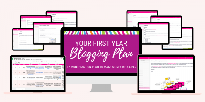 Your First Year Blog Plan Hero